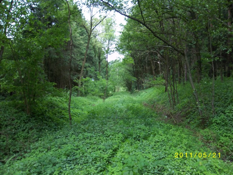 ZWNEGI14